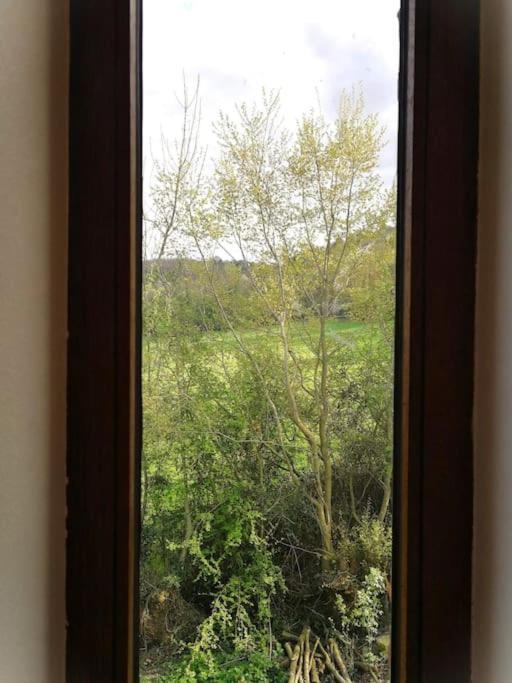 La Sittelle Des Aguesses Apartment Andenne ภายนอก รูปภาพ